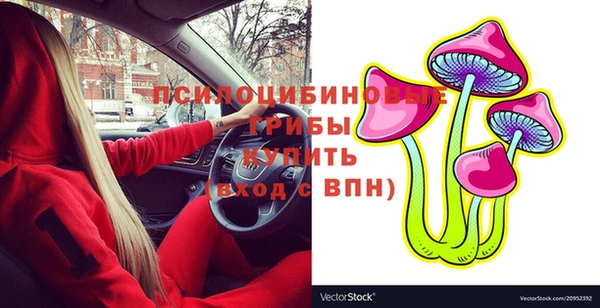 марки lsd Горнозаводск
