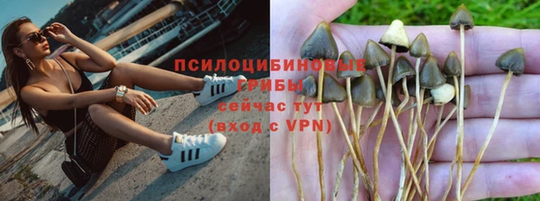 дурь Горняк