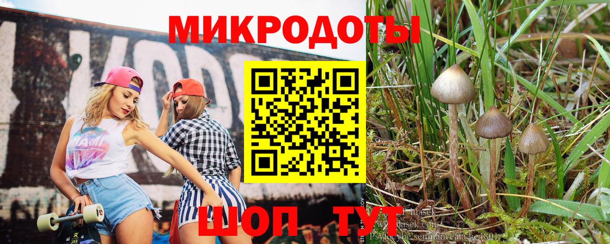 Псилоцибиновые грибы Magic Shrooms Москва