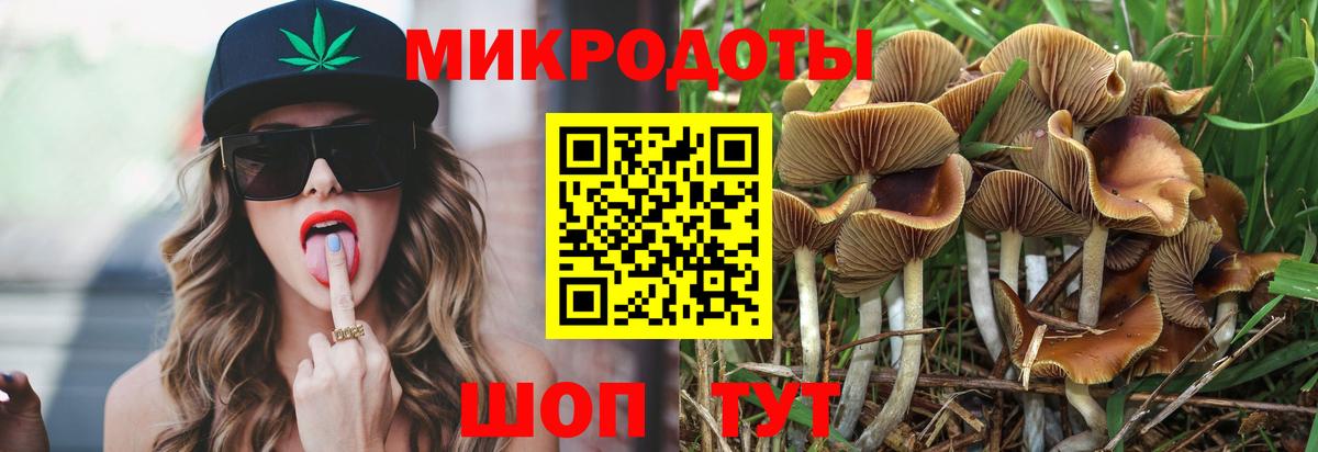 Москва  Псилоцибиновые грибы Magic Shrooms  Вход с VPN 